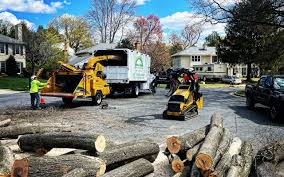 Best Leaf Removal  in El Rio, CA